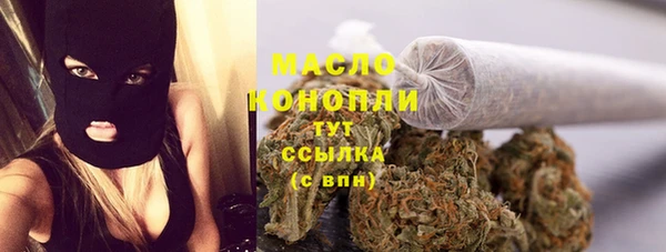 стаф Аркадак