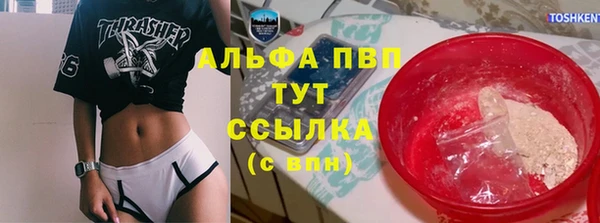 стаф Аркадак