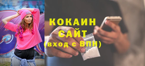 стаф Аркадак