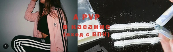 стаф Аркадак