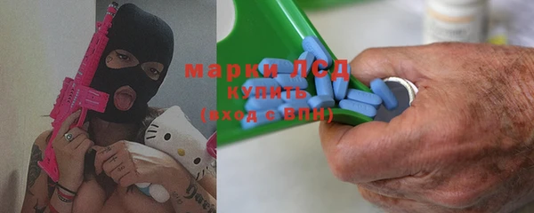 стаф Аркадак