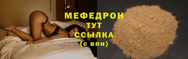 стаф Аркадак