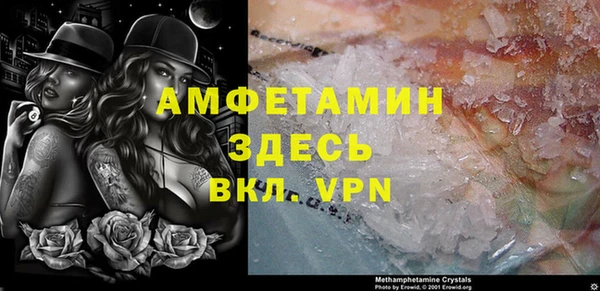 стаф Аркадак