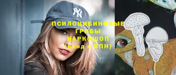 стаф Аркадак