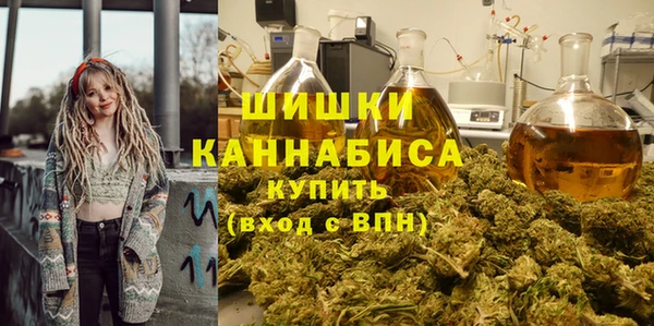 спайс Арсеньев