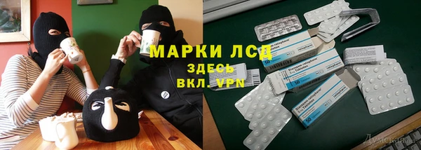 стаф Аркадак