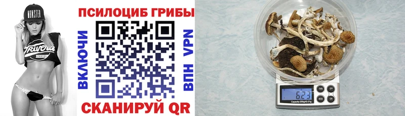 что такое наркотик  Удачный  Галлюциногенные грибы Cubensis 